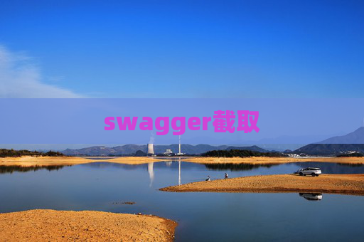 swagger截取